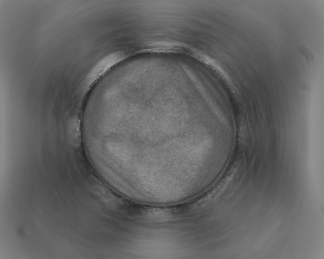 X0000113361362200910061031