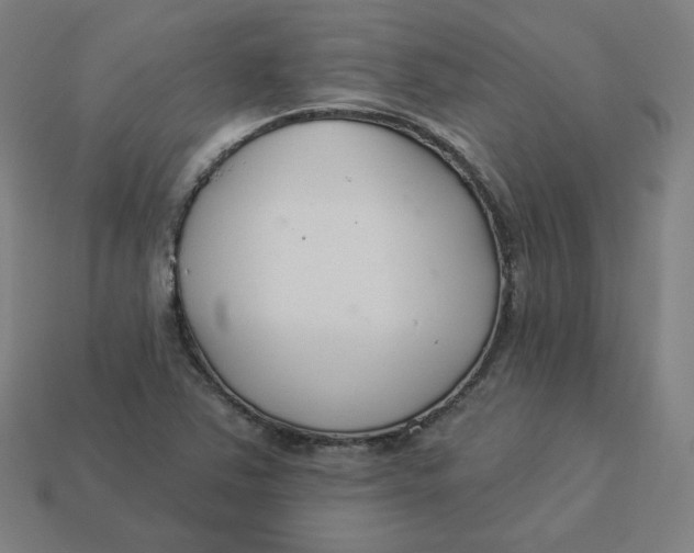 X0000113361363200910061031