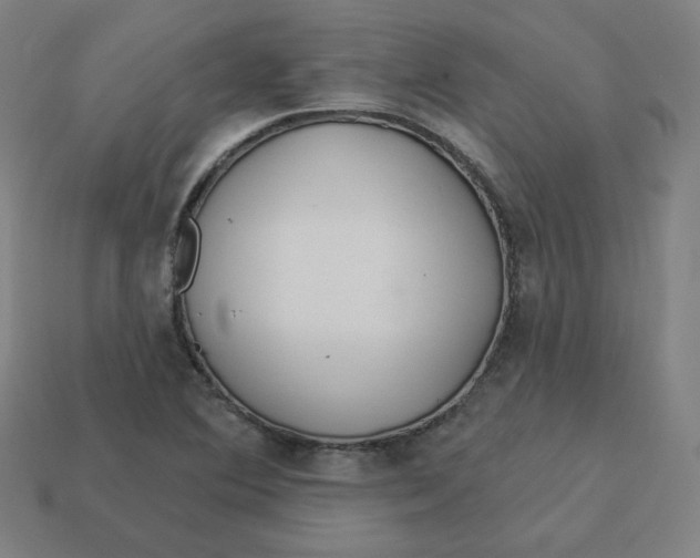 X0000113361364200910061031