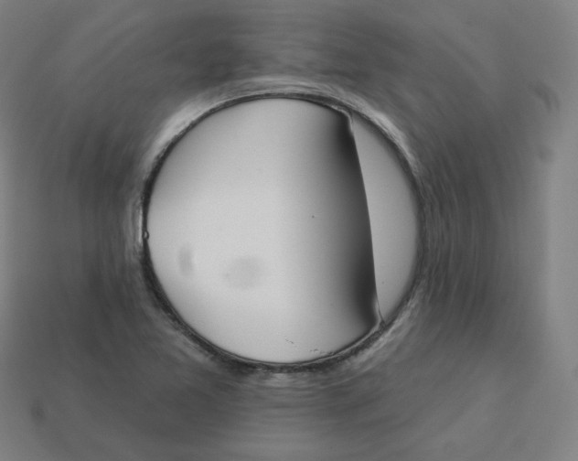 X0000113361365200910061031