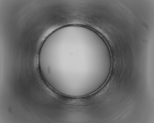 X0000113361367200910061031