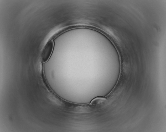 X0000113361368200910061031