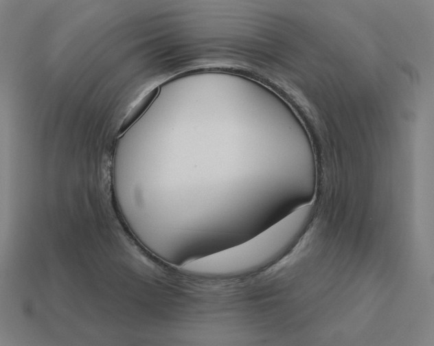 X0000113361369200910061031