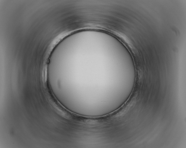 X0000113361371200910061031