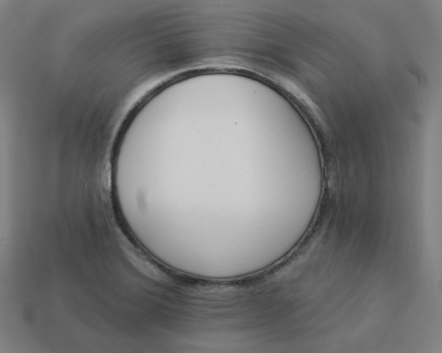 X0000113361372200910061031