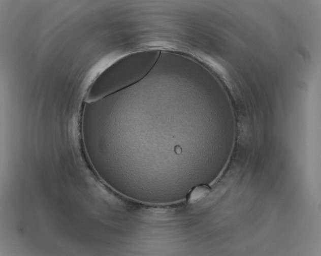 X0000113361373200910061031