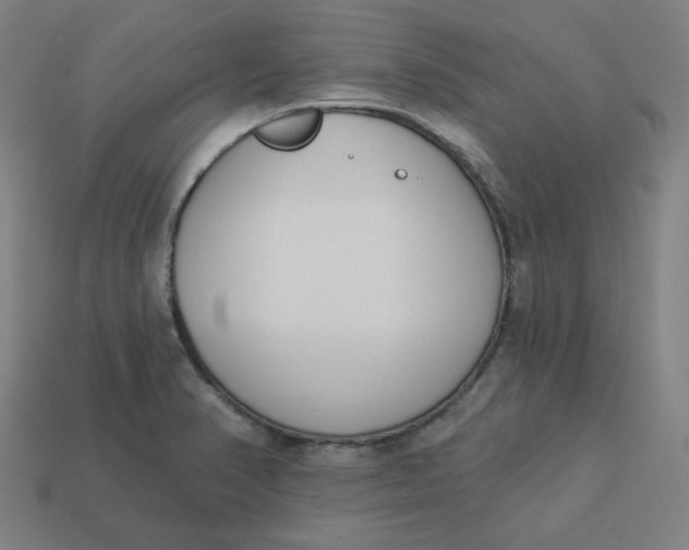 X0000113361374200910061031