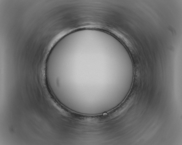 X0000113361375200910061031