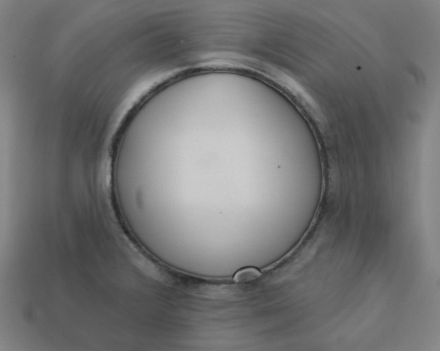 X0000113361376200910061031