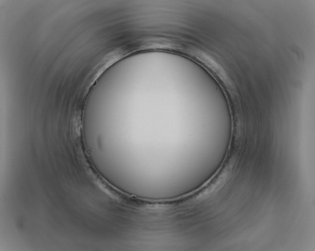 X0000113361377200910061031