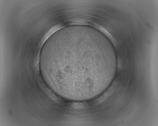 X0000113361378200910061031