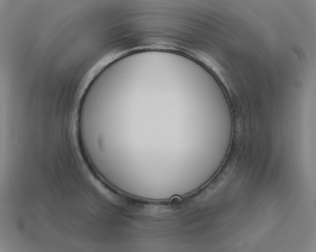 X0000113361379200910061031