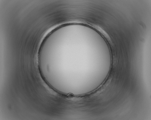 X0000113361380200910061031