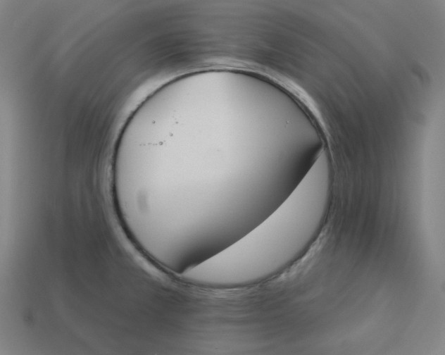 X0000113361381200910061031