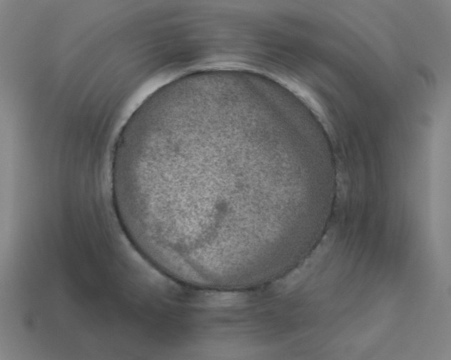 X0000113361382200910061031