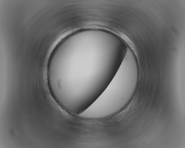 X0000113361384200910061031