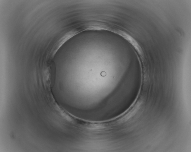 X0000113361385200910061031