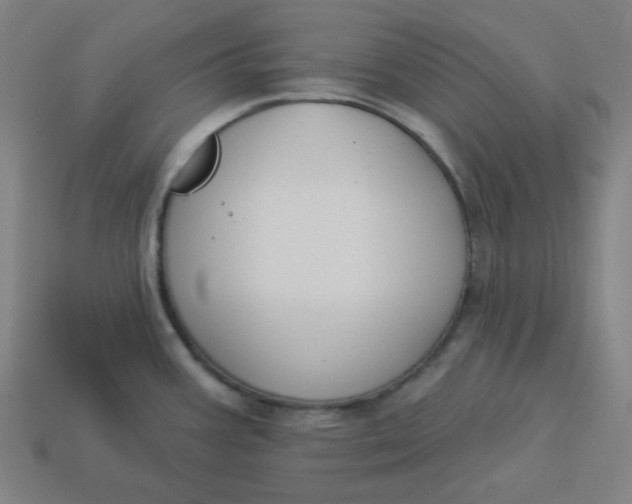 X0000113361387200910061031