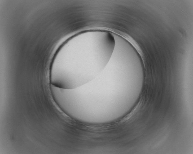 X0000113361388200910061031