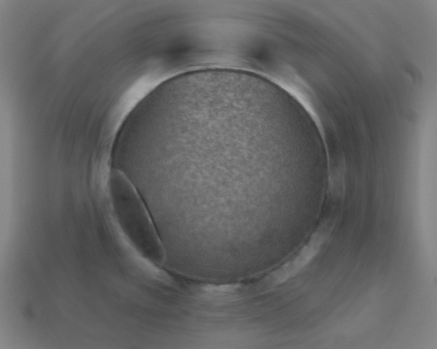 X0000113361389200910061031