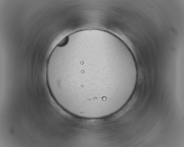 X0000113361390200910061031