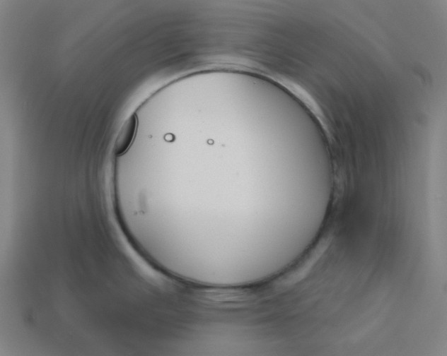 X0000113361391200910061031