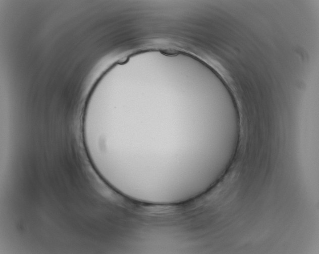 X0000113361392200910061031