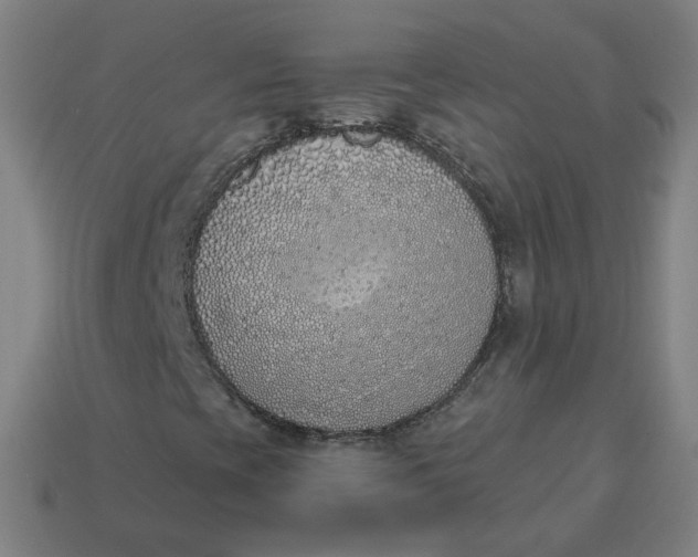 X0000113361393200910061030