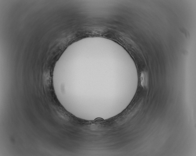 X0000113361395200910061030