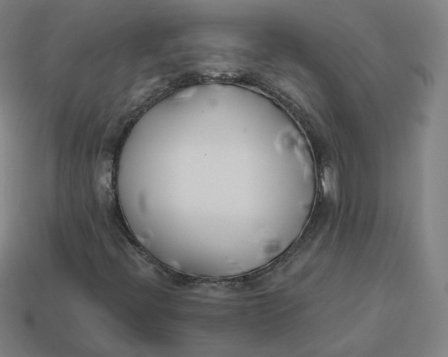 X0000113361396200910061030