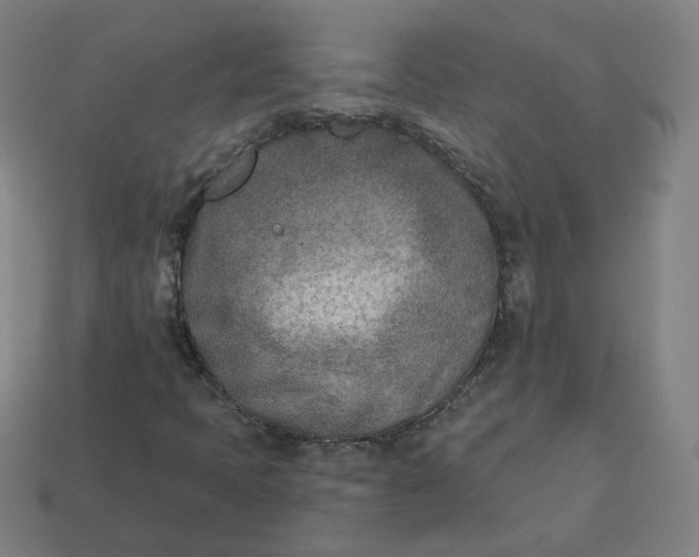 X0000113361397200910061030