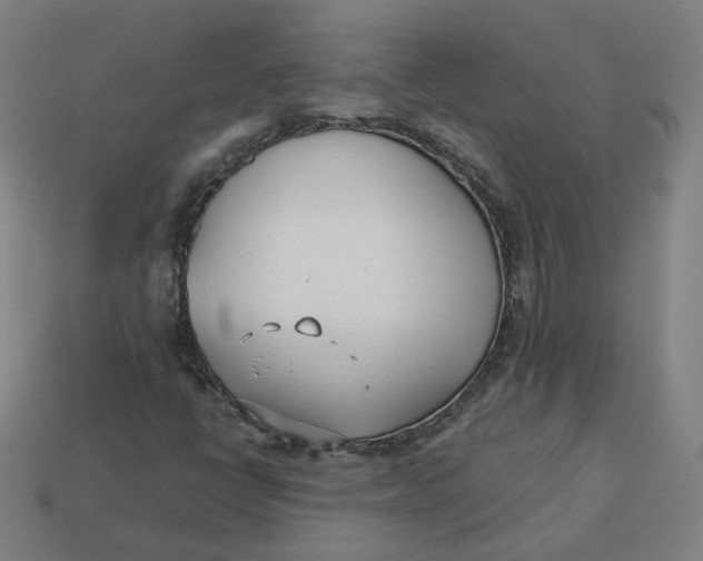 X0000113361398200910061030