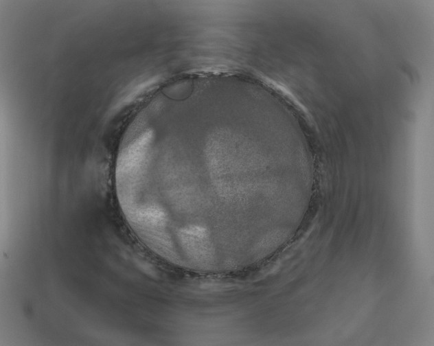 X0000113361399200910061030