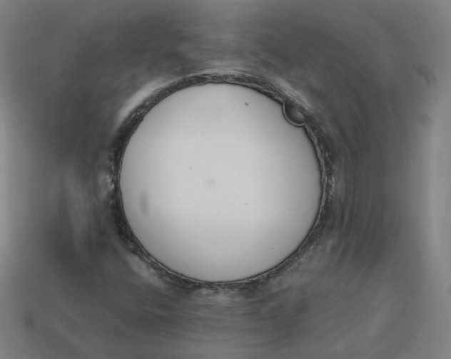 X0000113361400200910061030