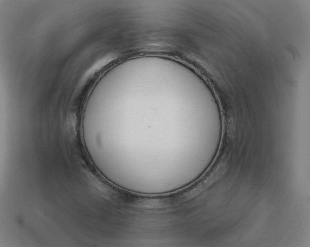 X0000113361402200910061030