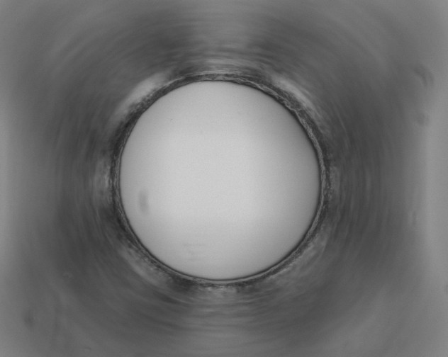 X0000113361403200910061030