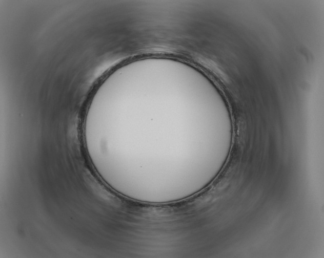 X0000113361404200910061030