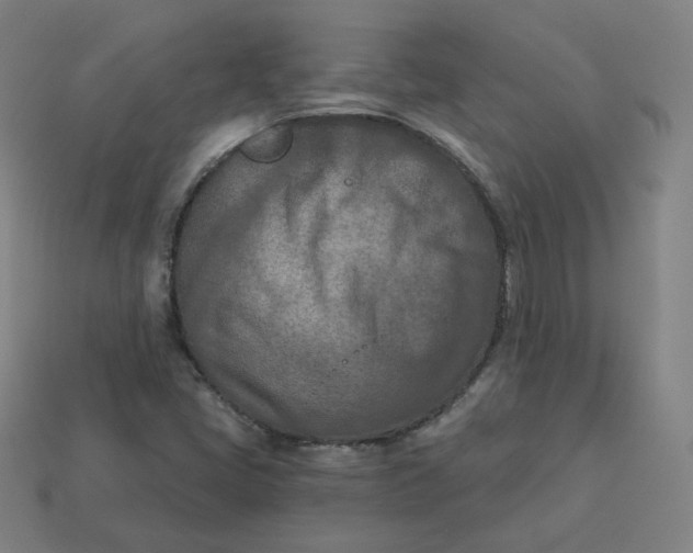 X0000113361405200910061030