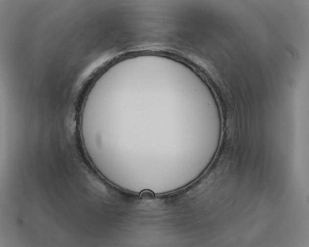 X0000113361406200910061030