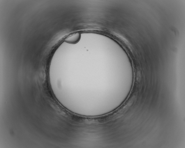 X0000113361407200910061030