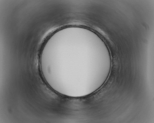 X0000113361408200910061030