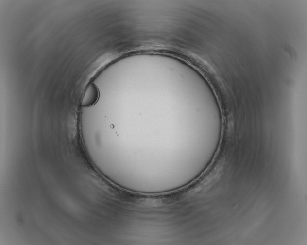 X0000113361409200910061030