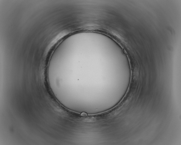 X0000113361410200910061030