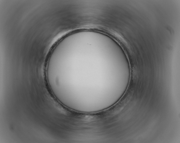 X0000113361412200910061030