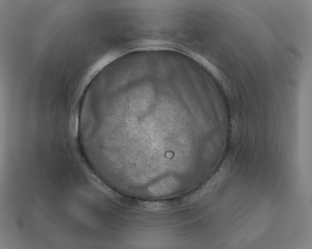 X0000113361413200910061030