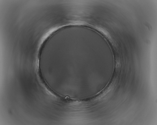 X0000113361414200910061030