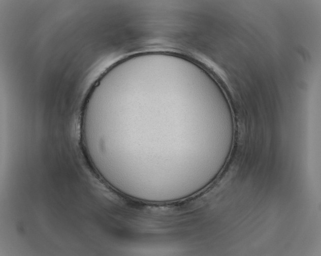 X0000113361415200910061030