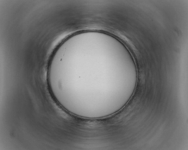 X0000113361416200910061030