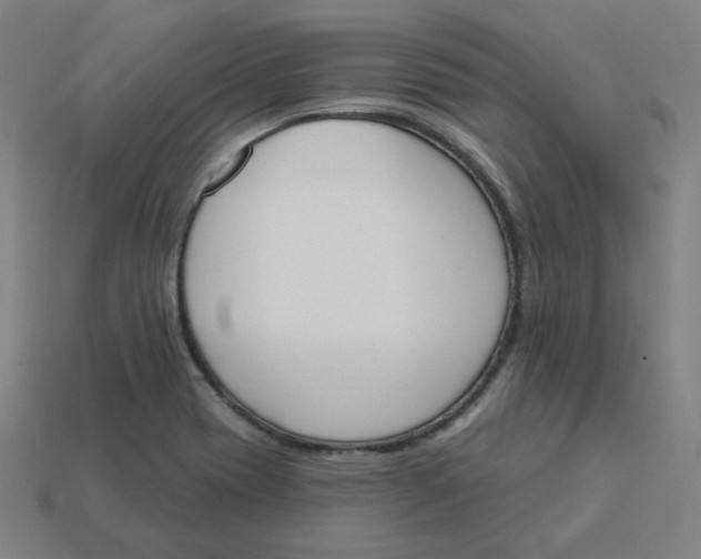 X0000113361417200910061030