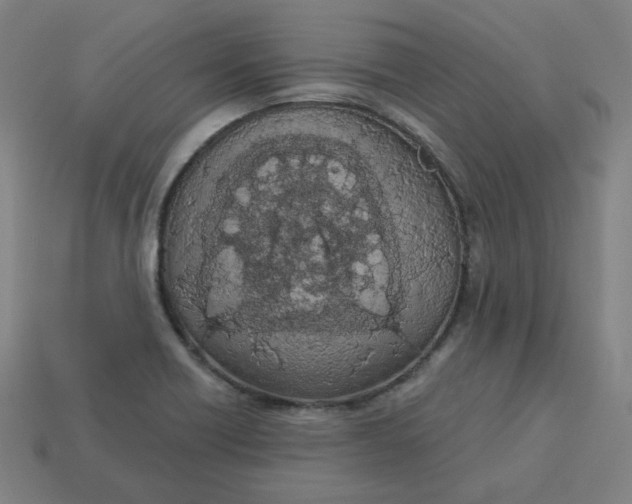 X0000113361418200910061030